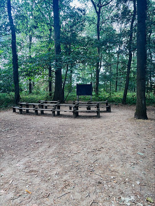 leere Waldschule