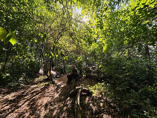 Menschen im Wald